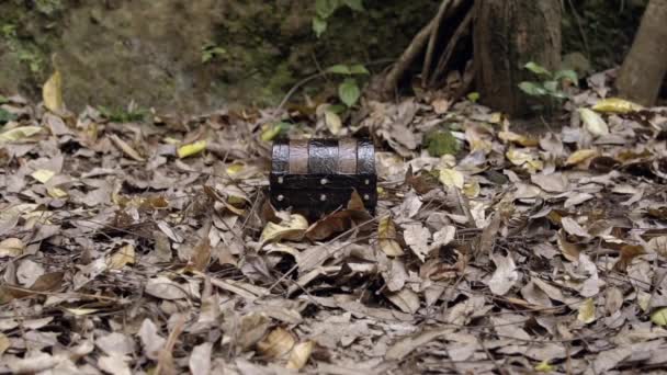 白天在森林里的枯叶中的一个褐色宝盒 — 图库视频影像