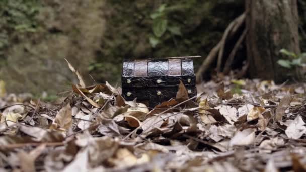 Ένα Καφέ Κουτί Θησαυρού Ανάμεσα Νεκρά Φύλλα Ένα Δάσος Κατά — Αρχείο Βίντεο