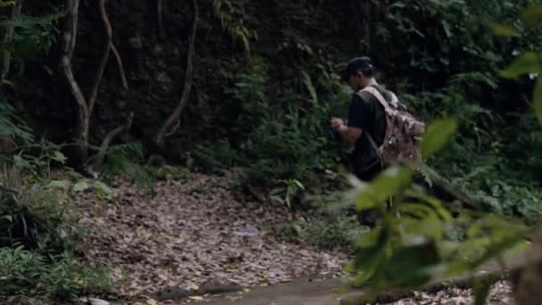 Азиатский Мужчина Гуляет Глядя Свой Смартфон Посреди Леса Утром — стоковое видео