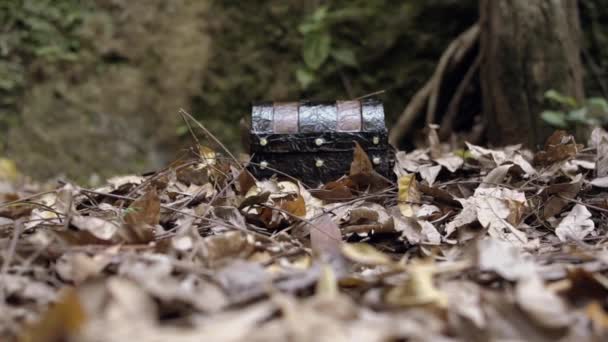 白天在森林里的枯叶中的一个褐色宝盒 — 图库视频影像