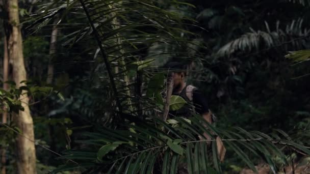Азиатский Мужчина Идущий Лесу Полному Деревьев Утром — стоковое видео