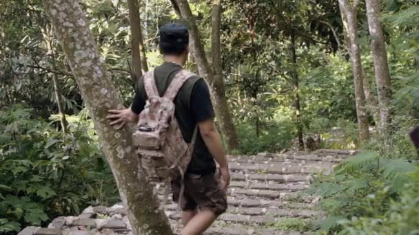 Explorador Desciende Escaleras Bosque Lleno Maleza Mientras Hace Una Caminata — Vídeo de stock