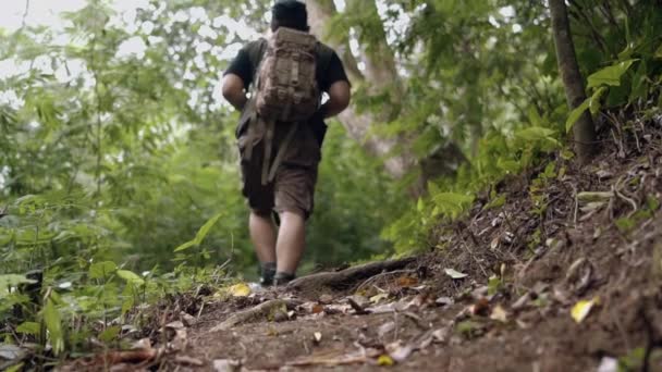 Asijský Muž Černém Klobouku Chůze Při Zkoumání Lesa Horách Dopoledních — Stock video