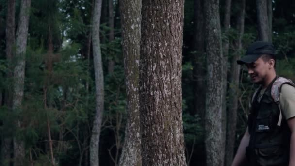 Asian Man Walks Large Towering Tree Forest Early Morning — Stock Video