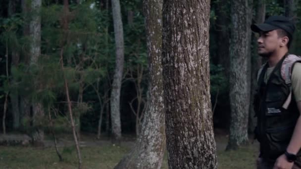 朝早く森の中の大きな高くそびえる木を通り過ぎるアジア人の男 — ストック動画