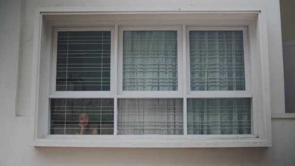 一个亚洲女人 白天坐在白色的窗前 看上去很无聊 — 图库视频影像
