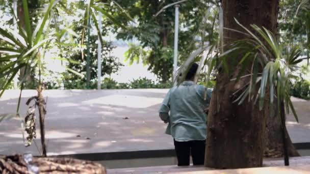 Asijská Žena Černém Oblečení Chůze Sám Parku Plném Stromů Brzy — Stock video