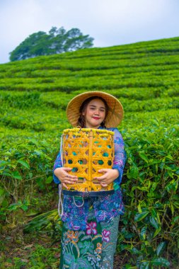 Asyalı bir çiftçi elinde bambu sepeti ile güler yüzlü bir sabah