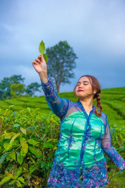 Fazendeiro Jardim Chá Está Posando Lindamente Meio Folhas Chá Verde — Fotografia de Stock