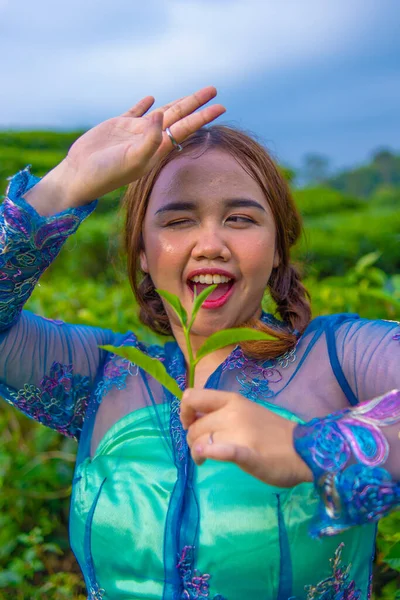 Eine Schöne Asiatische Teenagerin Posiert Morgens Einem Teegarten Ihrem Blauen — Stockfoto