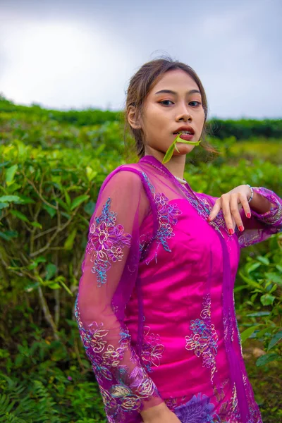 Pembe Elbiseli Asyalı Bir Kadın Sabah Çay Bahçesinin Önünde Dikiliyor — Stok fotoğraf