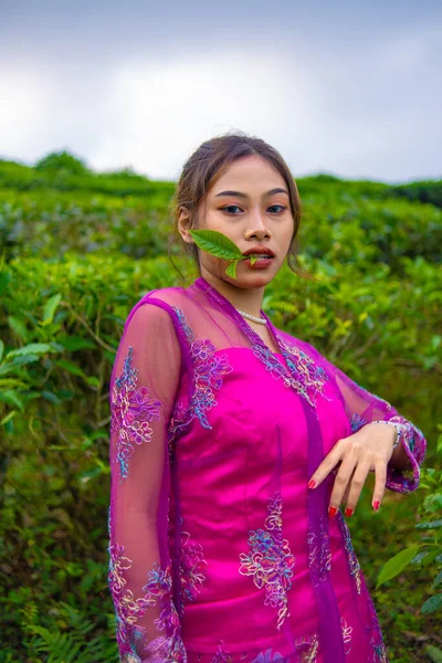 Una Mujer Asiática Vestido Rosa Está Pie Frente Jardín Por —  Fotos de Stock