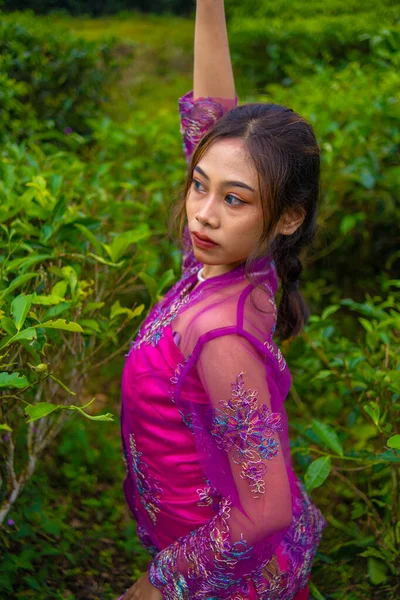 Eine Asiatin Posiert Sehr Sexy Inmitten Der Teeplantagen Während Sie — Stockfoto