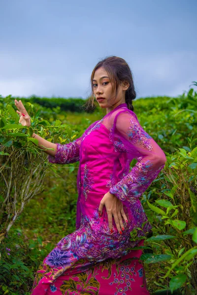 Asyalı Bir Kadın Sabah Pembe Bir Elbise Giyerken Çay Tarlalarının — Stok fotoğraf