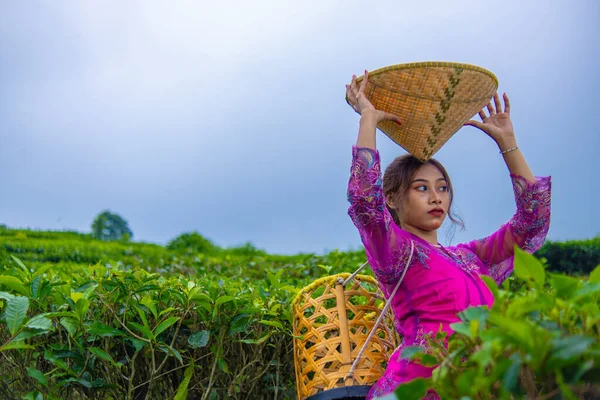 朝に帽子と竹のバスケットを持って茶葉の間にポーズする茶園の農家 — ストック写真