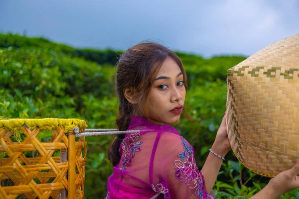 Єтнамська Дівчина Стоїть Посеред Чайного Саду Несучи Бамбуковий Кошик Тримаючи — стокове фото