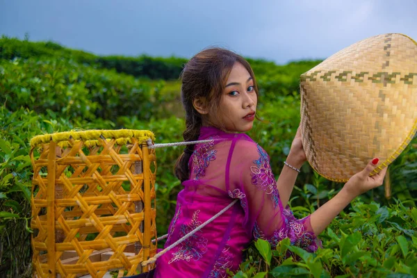 Vietnamlı bir kız elinde bambu sepeti, elinde bambu şapkasıyla çay bahçesinin ortasında duruyor.