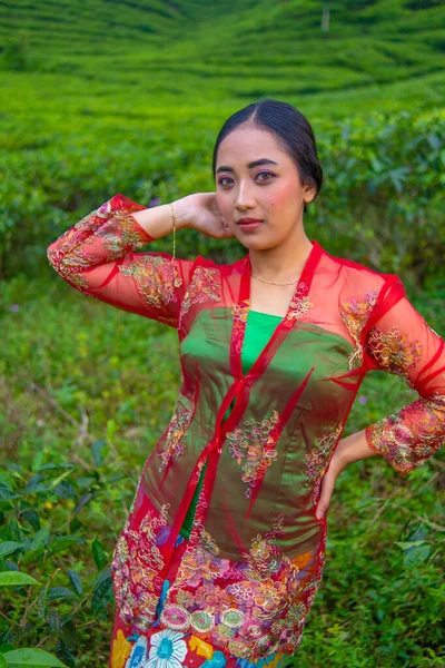 赤いドレスを着たアジア人女性が 朝の茶園の前に立っています — ストック写真
