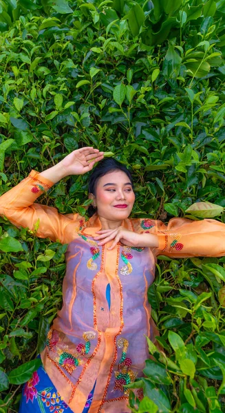 Індонезійка Лежить Зеленому Чайному Саду Під Час Відпустки Вранці — стокове фото