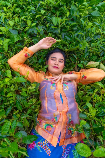Індонезійка Лежить Зеленому Чайному Саду Під Час Відпустки Вранці — стокове фото