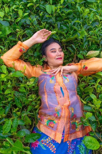Seorang Wanita Indonesia Berbaring Kebun Teh Hijau Saat Berlibur Pagi — Stok Foto
