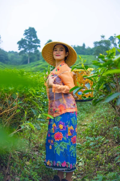 日中にオレンジ色のシャツを着た茶農家として働くインドネシア人女性 — ストック写真