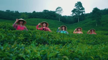 Renkli geleneksel kebaya ve bambu şapkalı beş gülümseyen Endonezyalı kadını canlı yeşil çay tarlasında sıralanmış halde gösteren geniş, statik bir çekim. Kültürel veya seyahat içeriği için mükemmel.