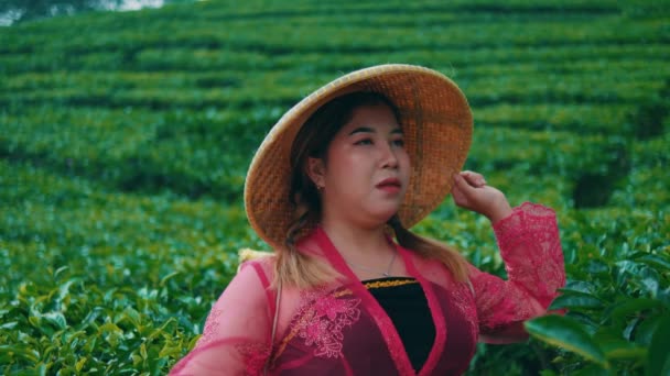 Азіатська Жінка Дивиться Простір Чайних Садів Які Зелені Повні Фермерів — стокове відео
