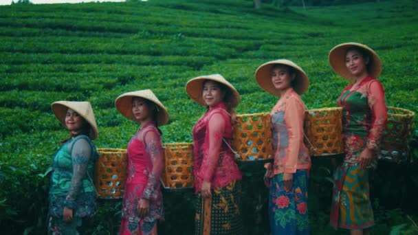 Группа Фермеров Чайного Сада Отдыхает После Окончания Работы Середине Участка — стоковое видео