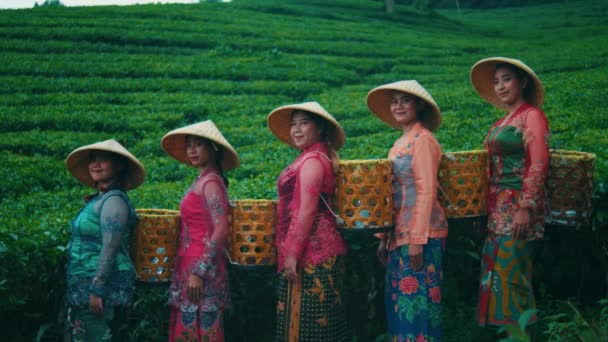 Skupina Farmářů Čajové Zahradě Odpočívá Dokončení Práce Uprostřed Úseku Čajové — Stock video
