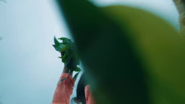 Farmář Čajové Zahrady Dává Čajové Lístky Bambusového Koše Který Nese — Stock video