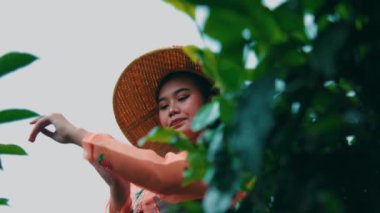 Endonezyalı, kebaya ve konik şapkalı zarif bir kadının düşük açılı çekimi. Gökyüzüne karşı bulanık yeşil çay yapraklarıyla çerçevelenmiş zarif el hareketleriyle poz veriyor..