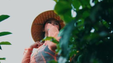 Kebaya ve konik şapkalı sakin Endonezyalı bir kadının düşük açılı orta açı çekimi. Yeşil çay yapraklarıyla çerçevelenmiş zarif el hareketleriyle poz veriyor..