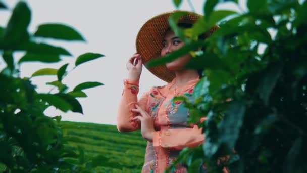Ασιάτισσα Που Στέκεται Μπροστά Από Έναν Κήπο Τσάι Φορώντας Ένα — Αρχείο Βίντεο