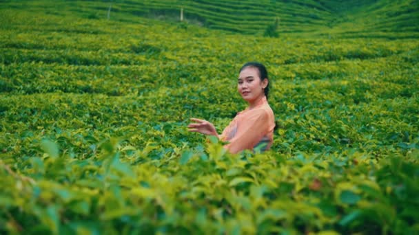 Čajovník Žena Hraje Uprostřed Zelené Čajové Zahrady Velmi Vesele Během — Stock video