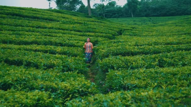 一个采茶的女人白天在一个绿茶花园里玩得很开心 — 图库视频影像