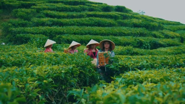 早上工作前 一群茶园的农民拿着竹篮走到他们的朋友面前 — 图库视频影像