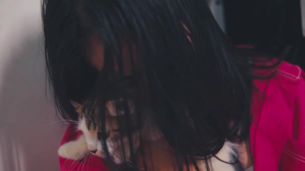 Una Mujer Asiática Llora Está Estresada Mientras Abraza Gato Debido — Vídeo de stock