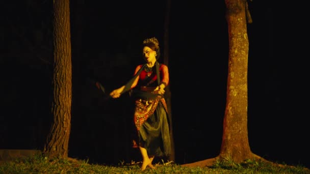 Μια Ασιάτισσα Χορεύει Έντονα Ανάμεσα Δύο Δέντρα Κίτρινα Φώτα Νύχτα — Αρχείο Βίντεο