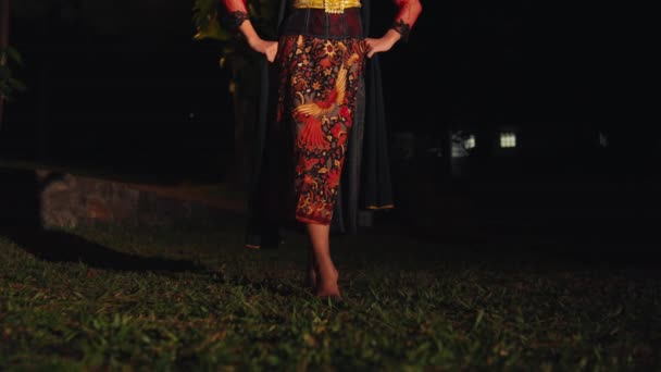 아시아 여자의 Batik 드레스를 잔디에 — 비디오