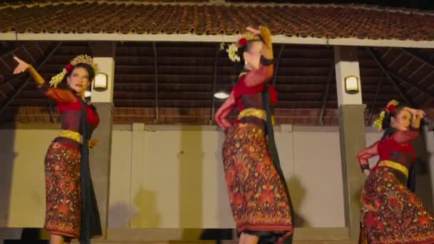 Een Groep Dansers Voeren Een Traditionele Dans Uit Met Hun — Stockvideo