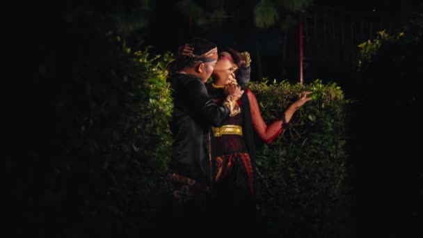 Bir Çift Aşık Birbirlerine Sarılır Geceleri Parkta Çok Sıkı Fıkı — Stok video