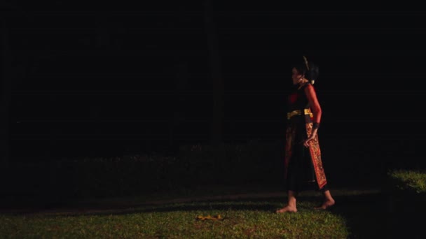 Een Aziatische Vrouw Loopt Een Park Met Groen Gras Nachts — Stockvideo
