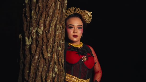 アジアの女性が夜に赤い衣装と金の宝石を着ている間 大きな木の端に立っています — ストック動画