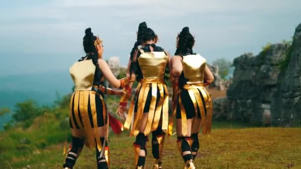 女性の戦士のグループは 日中の王城の近くの痛みの中で歩いている間 友人を助けます — ストック動画