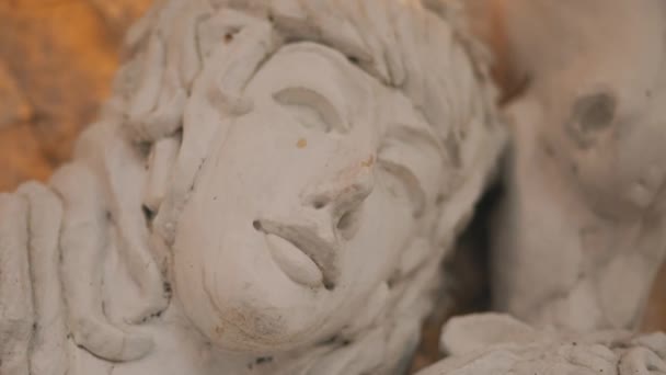 Sculture Belle Statue Bianche Esposte Sulle Pareti Palazzo Reale Con — Video Stock