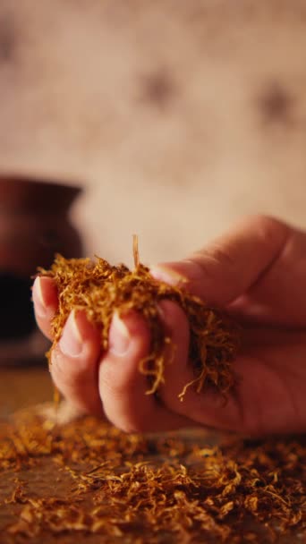 鮮やかな背景を持つ乾燥したマリゴールドの花びらを保持する手のクローズアップ — ストック動画