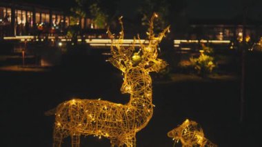 Aydınlatılmış ren geyiği Noel ışıkları dekorasyonu gece kafenin yanında
