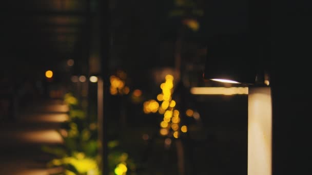 夜晚的花园小径被现代Led护柱灯照亮 在漆黑的夜晚背景平淡 — 图库视频影像