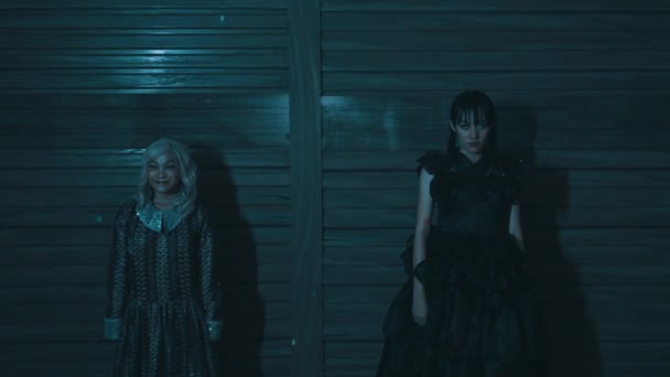 两名身着哥特式服装的妇女在漆黑的夜晚面对着以万圣节为主题的轮廓的恐怖背景摆姿势 — 图库视频影像